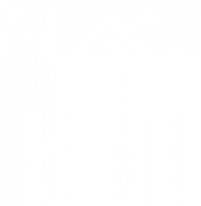 offline-logo